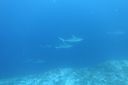 DSC00164.JPG