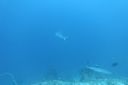 DSC00166.JPG