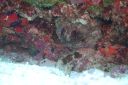 DSC00175.JPG