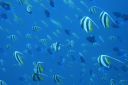 DSC00178.JPG
