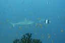 DSC00194.JPG