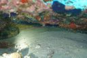 DSC00214.JPG