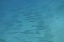 DSC00215.JPG