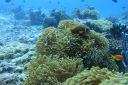 DSC00216.JPG
