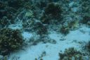 DSC00224.JPG