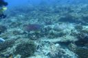 DSC00237.JPG