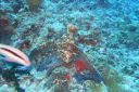 DSC00265.JPG