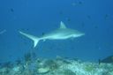 DSC00326.JPG