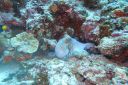 DSC00360.JPG