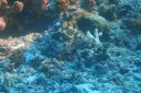 DSC00361.JPG