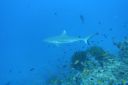 DSC00375.JPG