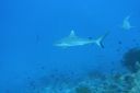 DSC00376.JPG