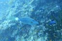 DSC00380.JPG