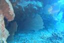DSC00390.JPG