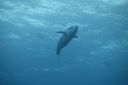 DSC00394.JPG