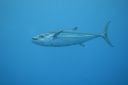 DSC00396.JPG