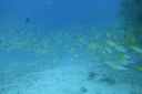 DSC00411.JPG