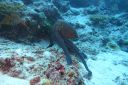 DSC00416.JPG