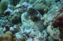 DSC00420.JPG
