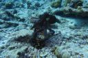 DSC00422.JPG