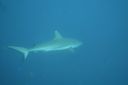 DSC00430.JPG