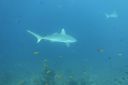 DSC00446.JPG