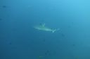 DSC00451.JPG