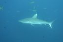 DSC00454.JPG