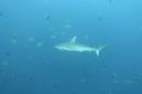 DSC00464.JPG