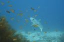 DSC00479.JPG