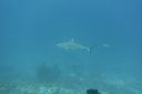 DSC00507.JPG
