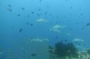 DSC00555.JPG