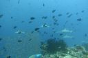 DSC00576.JPG