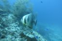 DSC00608.JPG