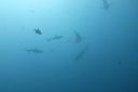 DSC00612.JPG