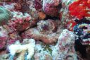 DSC00615.JPG