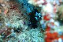 DSC00635.JPG