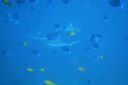 DSC00662.JPG