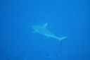 DSC00669.JPG