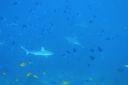 DSC00670.JPG