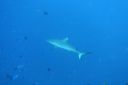 DSC00678.JPG
