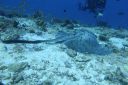 DSC00718.JPG