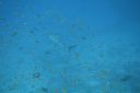 DSC00723.JPG