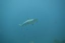 DSC00755.JPG