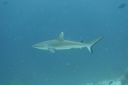 DSC00757.JPG