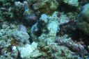 DSC00762.JPG