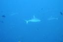 DSC00780.JPG
