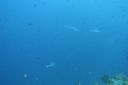 DSC00798.JPG