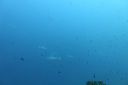 DSC00818.JPG