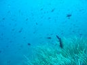 DSC00085.JPG